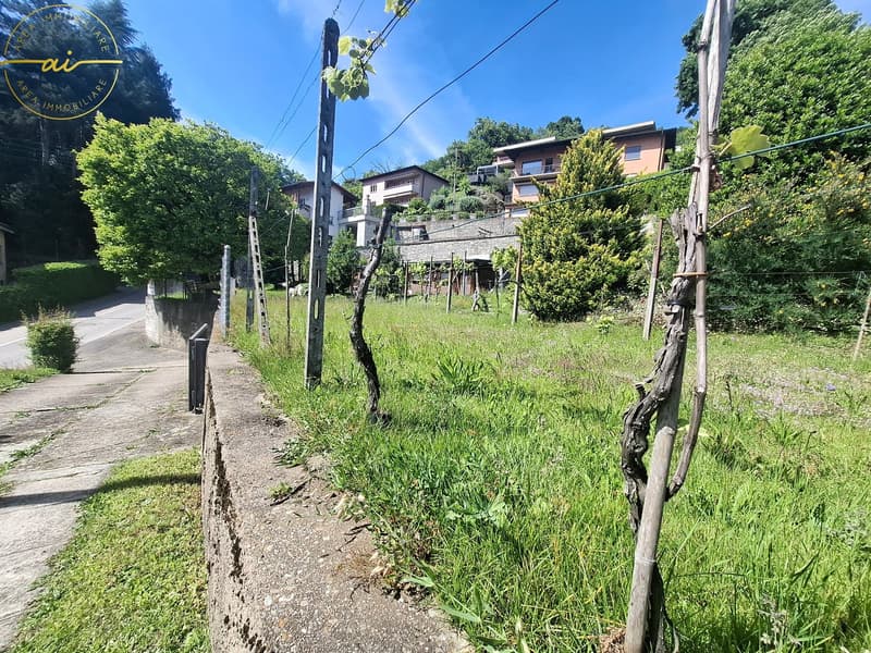BELLISSIMO TERRENO EDIFICABILE CON VISTA LAGO A SONVICO (2)