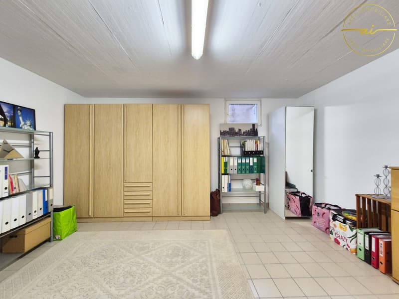 LUMINOSA CASA DI TESTA DI 5.5 LOCALI NEL VERDE (16)