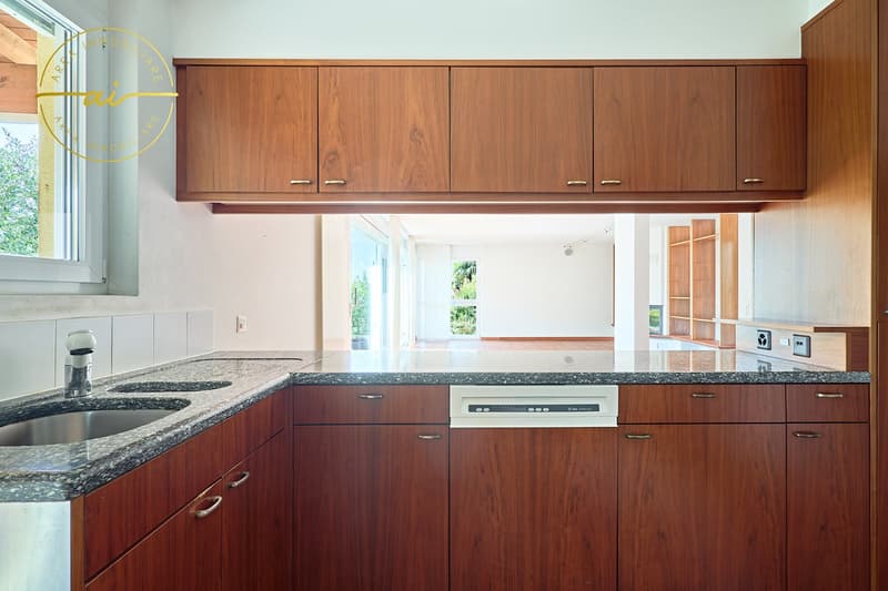 VILLA CON STUDIO SEPARATO E MERAVIGLIOSO GIARDINO (6)