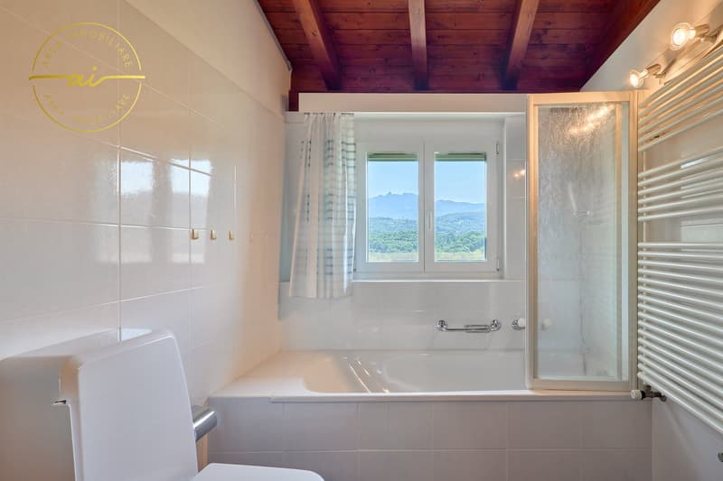 VILLA CON STUDIO SEPARATO E MERAVIGLIOSO GIARDINO (24)