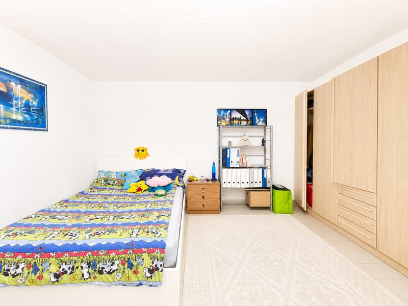 LUMINOSA CASA DI TESTA DI 5.5 LOCALI NEL VERDE (12)