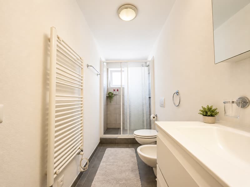 ACCOGLIENTE DUPLEX DI 4.5 LOCALI CON GRANDE SPAZIO ESTERNO PRIVATO A MAGLIASO (5)