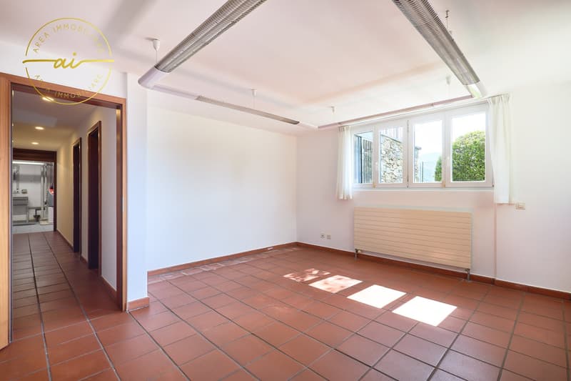 VILLA CON STUDIO SEPARATO E MERAVIGLIOSO GIARDINO (14)