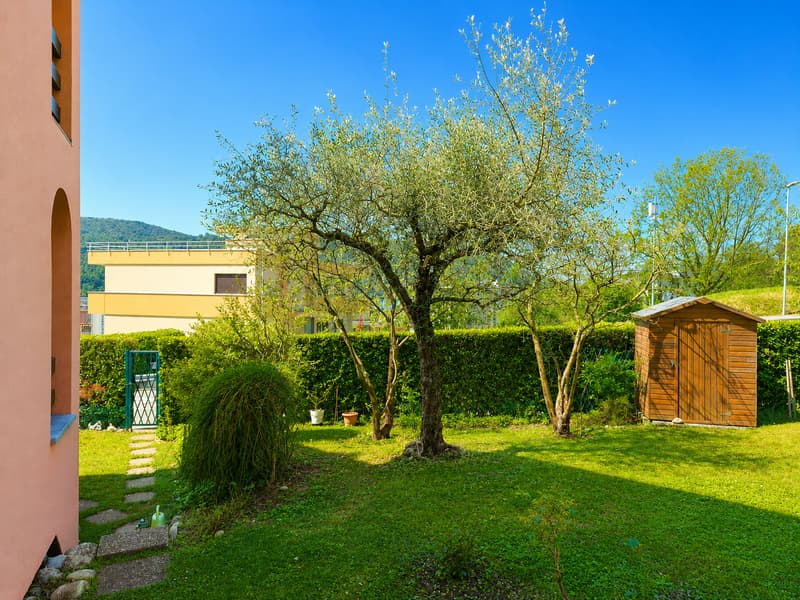 ACCOGLIENTE E CURATA CASA UNIFAMILIARE CON GIARDINO (2)