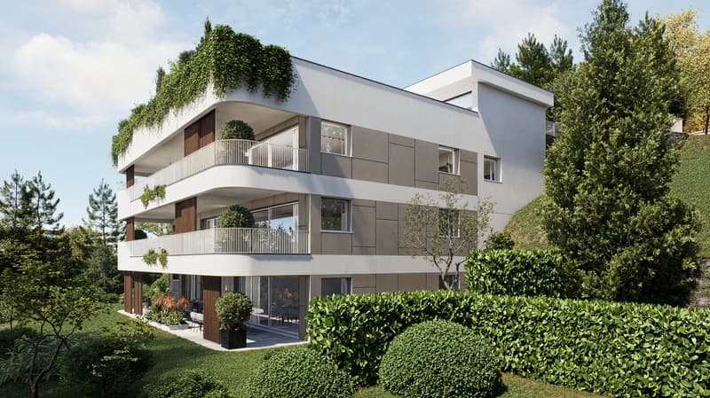 NUOVO 2.5 LOCALI CON SPLENDIDA VISTA LAGO E GIARDINO PRIVATO A CAPOLAGO (2)