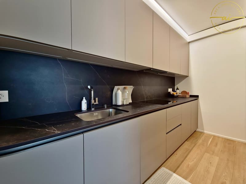 ELEGANTE APPARTAMENTO 3.5 LOCALI CON TERRAZZA E VISTA LAGO PARZIALE A PARADISO (6)