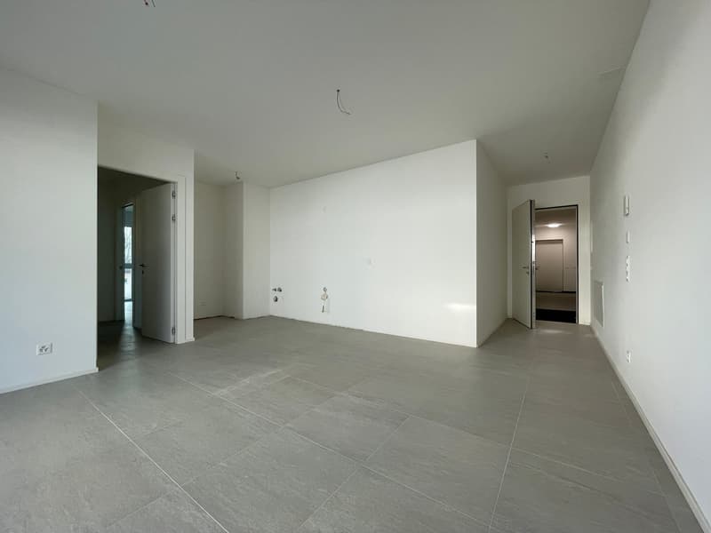 Elegante appartamento 3.5 locali con terrazza in nuova residenza (2)