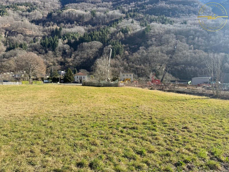 TERRENO EDIFICABILE IN MEZZO AL VERDE AD OSOGNA (3)
