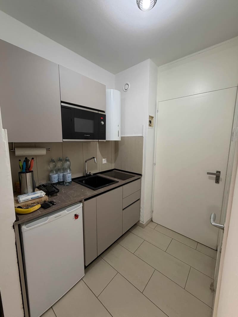Accogliente appartamento di 1.5 locali fronte lago a Melide (5)