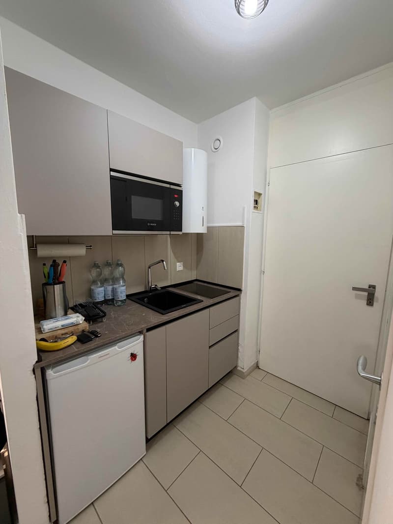Accogliente appartamento di 1.5 locali fronte lago a Melide (6)