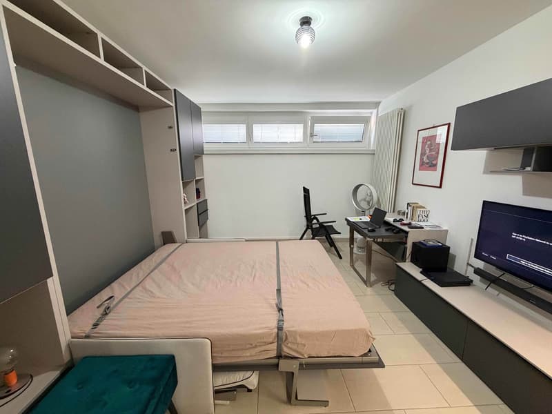 Accogliente appartamento di 1.5 locali fronte lago a Melide (2)