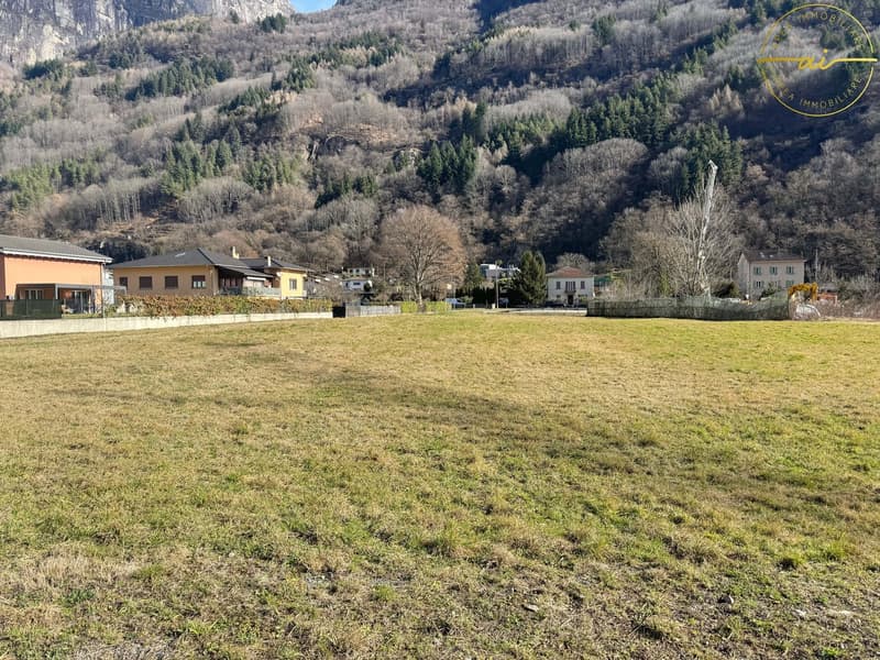 TERRENO EDIFICABILE IN MEZZO AL VERDE AD OSOGNA (1)