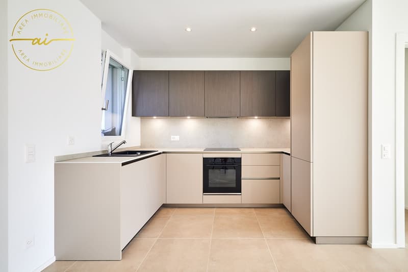 APPARTAMENTO 3.5 LOCALI CON STUPENDA TERRAZZA A BALERNA (3)