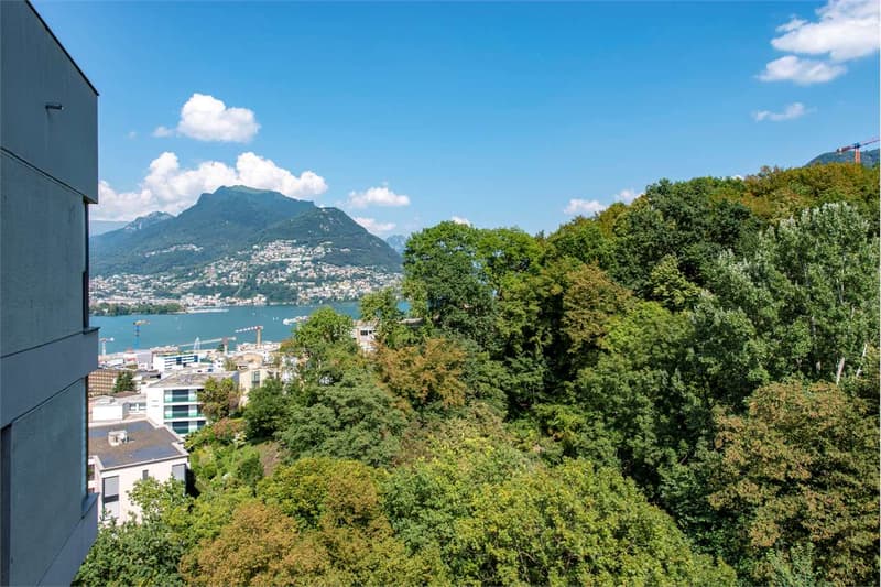 Vendesi 3,5 locali a reddito a Pazzallo (11)