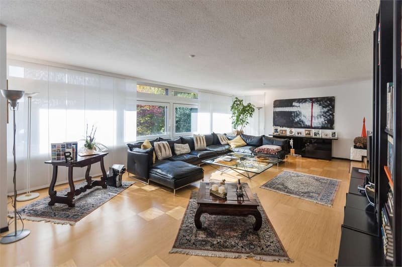 Appartamento 5,5 locali con giardino privato (2)