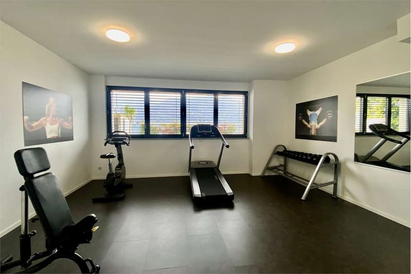 Esclusivo appartamento con vista mozzafiato sul Lago Maggiore (9)