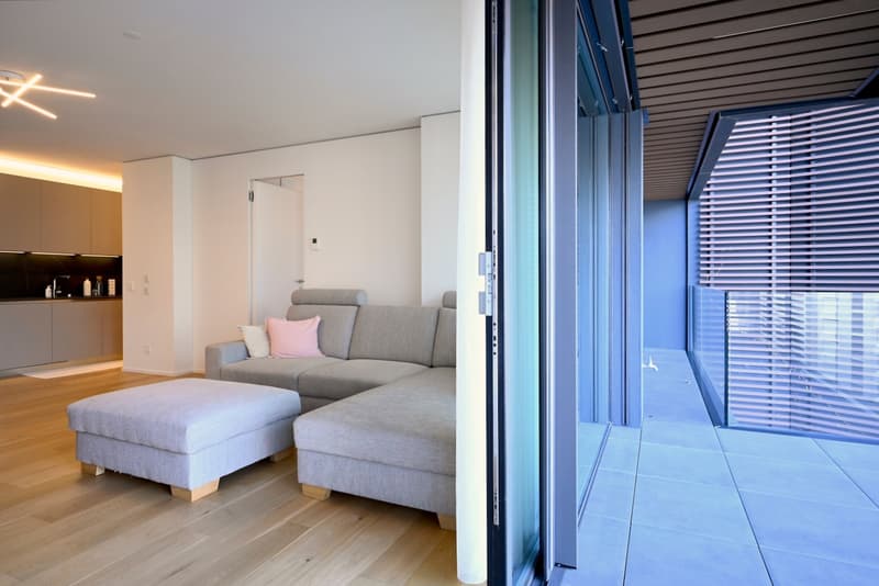 Moderno appartamento 3.5 locali con ampia terrazza (17)