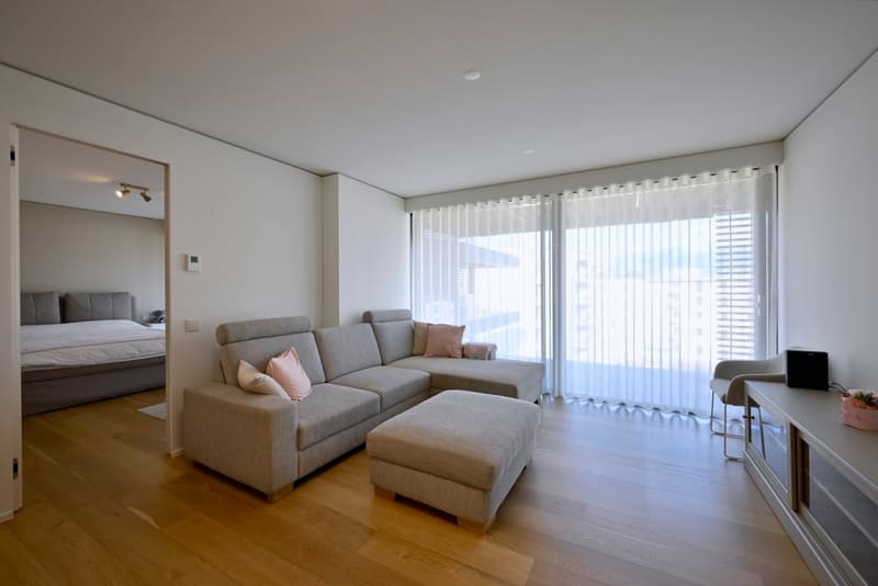Moderno appartamento 3.5 locali con ampia terrazza (7)