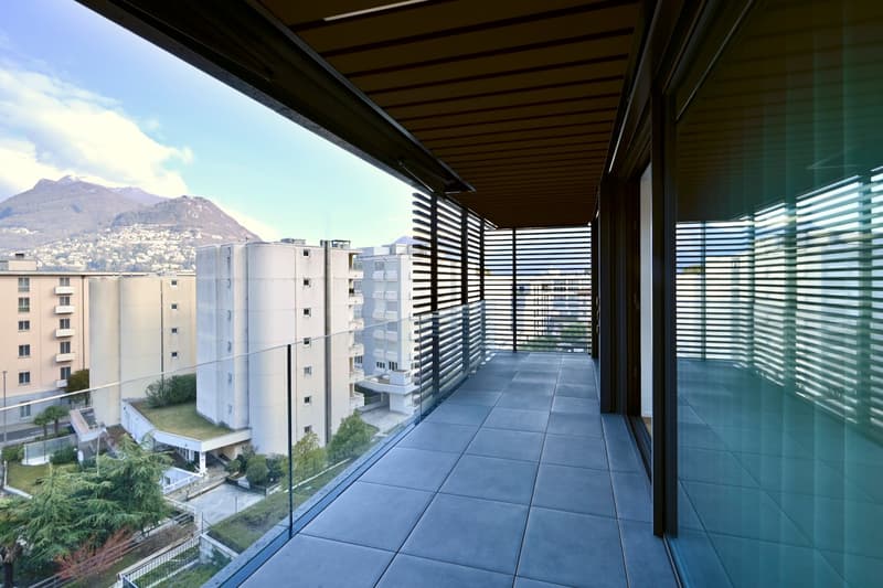 Moderno appartamento 3.5 locali con ampia terrazza (19)