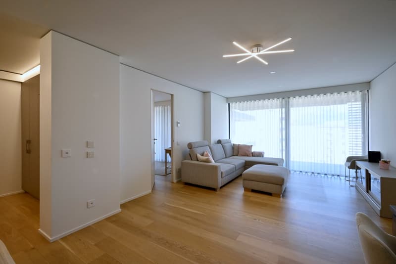 Moderno appartamento 3.5 locali con ampia terrazza (4)