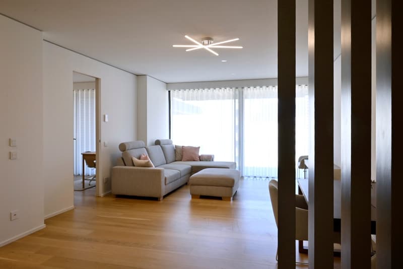 Moderno appartamento 3.5 locali con ampia terrazza (5)