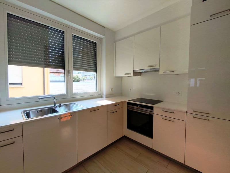 Lugano Cassarate - Splendido 4.5 Locali (Quadrilocale) in Zona Residen (4)