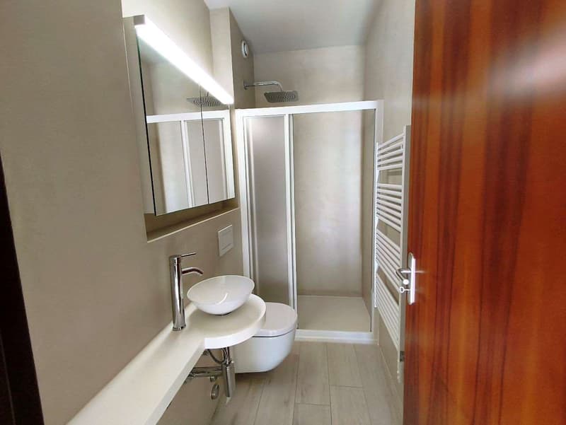 Lugano Cassarate - Splendido 4.5 Locali (Quadrilocale) in Zona Residen (8)