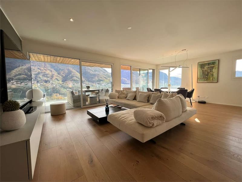 Elegante 3,5 locali arredato con giardino e vista lago (2)