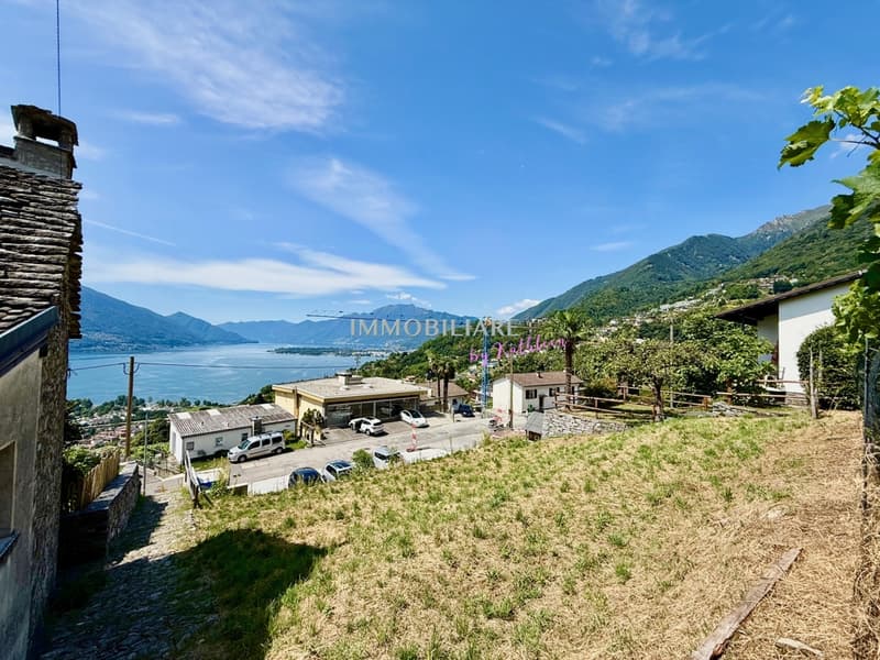 IMG_6953