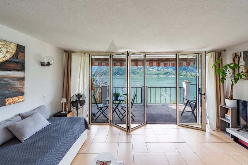 PROPRIETÀ CON MERAVIGLIOSA VISTA LAGO A LUGANO (9)