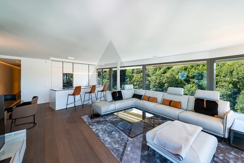 APPARTAMENTO VISTA LAGO IN UN MODERNO COMPLESSO RESIDENZIALE (4)