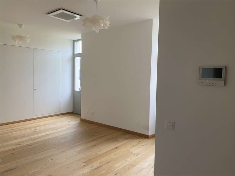 LUGANO - Appartamento ristrutturato in centro (7)