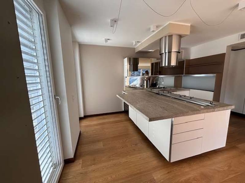Appartamento 3.5 locali vista lago e città (10)