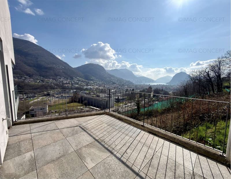 Appartamento 3.5 locali vista lago e città (3)