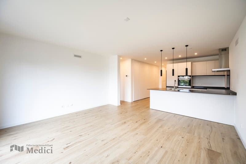 modern open kitchen, kitchen island, wooden floor, white walls, large windows, kitchen appliances