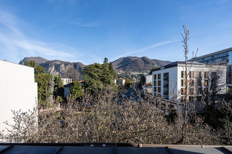 Buildings and trees in the foreground, mountains in the background, sunny day