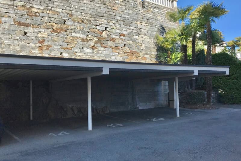 Charme di un appartamento di 3,5 locali con vista parziale sul lago e piscina coperta comune (17)