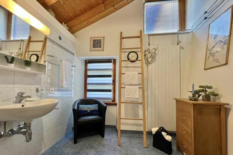 Casa Rossorino - Charming Ticino stone house with garden and parking (40)