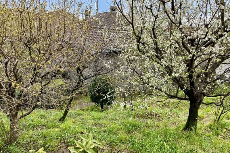 Casa Rossorino - Charming Ticino stone house with garden and parking (60)