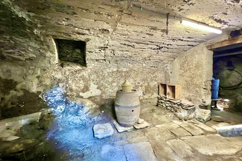 Casa Rossorino - Charming Ticino stone house with garden and parking (51)