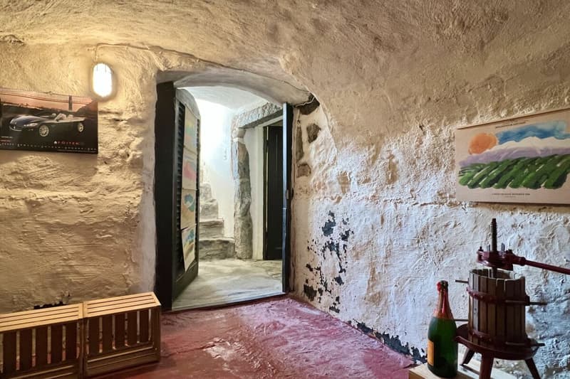 "Casa Castello" - A historic home for people looking for something special !!! (57)