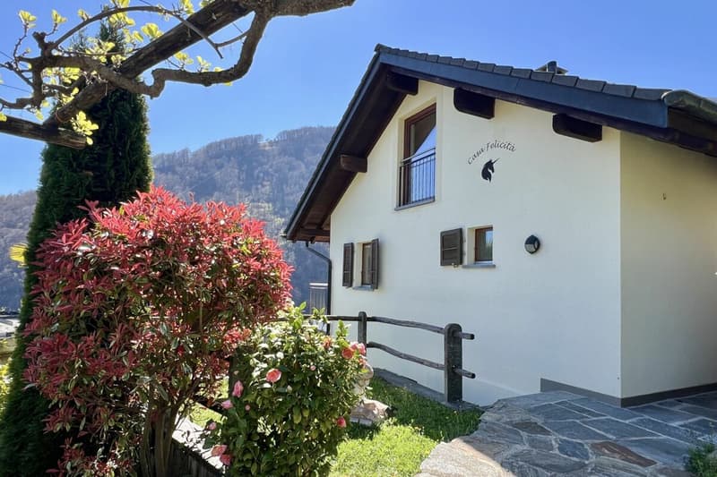 Schönes Einfamilienhaus in herrlicher Sonnenlage mit grossem Garten, eigenem Weinberg und Lift (43)