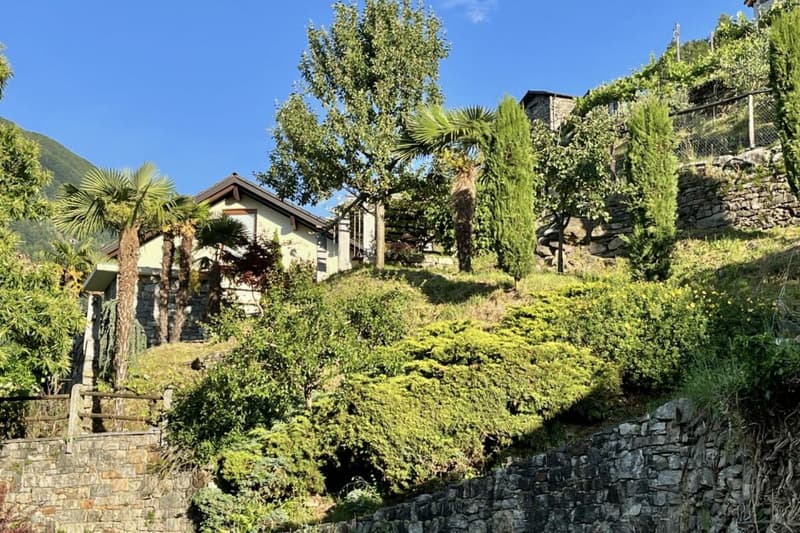 Schönes Einfamilienhaus in herrlicher Sonnenlage mit grossem Garten, eigenem Weinberg und Lift (7)