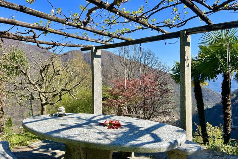 Schönes Einfamilienhaus in herrlicher Sonnenlage mit grossem Garten, eigenem Weinberg und Lift (50)