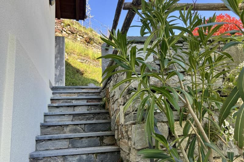 Schönes Einfamilienhaus in herrlicher Sonnenlage mit grossem Garten, eigenem Weinberg und Lift (63)