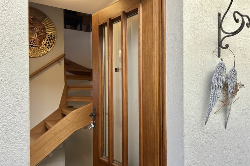 Schönes Einfamilienhaus in herrlicher Sonnenlage mit grossem Garten, eigenem Weinberg und Lift (41)