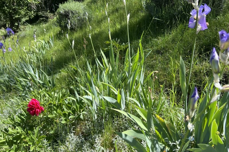 A Ticino dream: living, working, creativity and hospitality (39)
