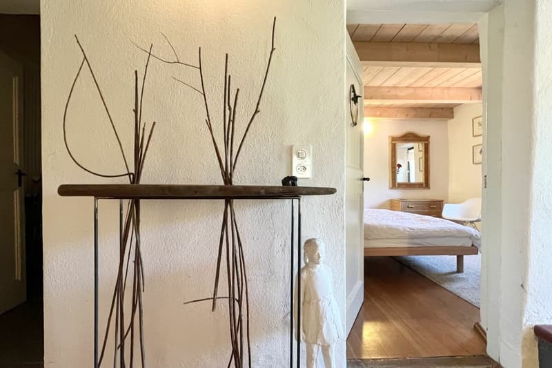 A Ticino dream: living, working, creativity and hospitality (12)