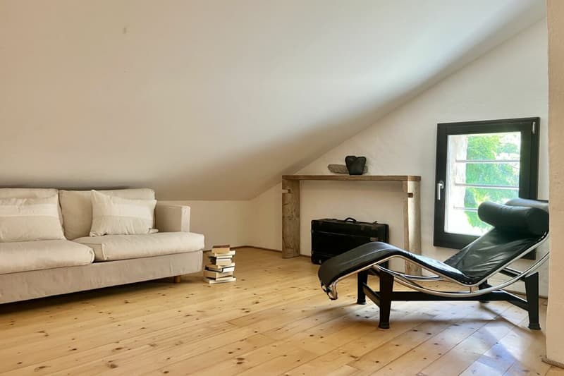 A Ticino dream: living, working, creativity and hospitality (21)