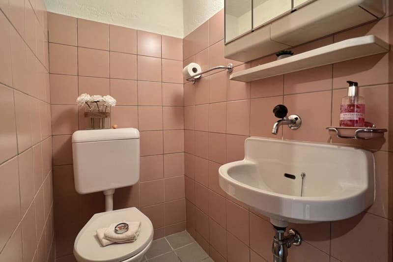4,5 Zi. Wohnung in Zweifamilienhaus mit 180° Seesicht, grosser Sonnenterrasse & eigenem Garten (28)